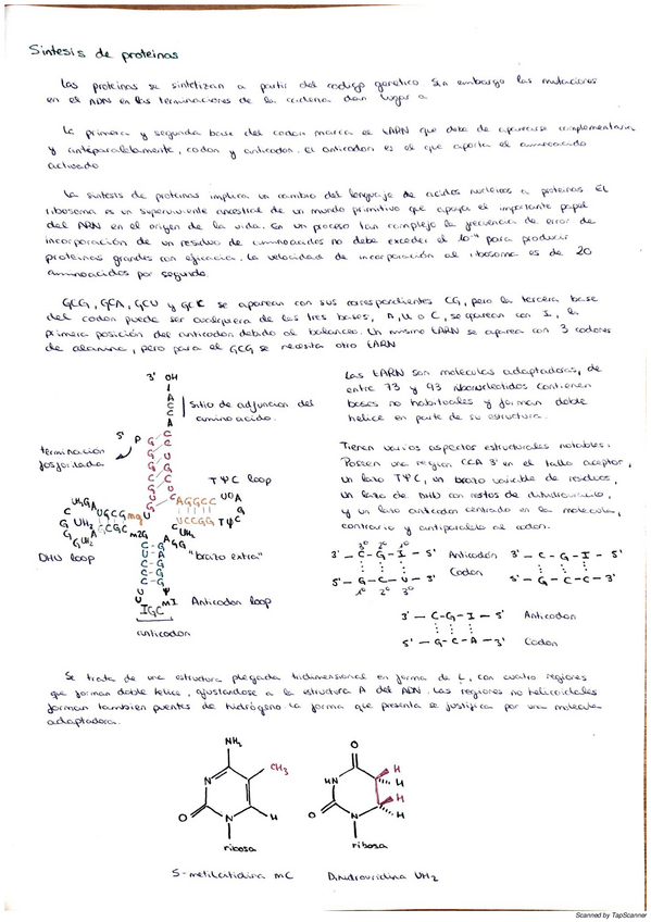 Miniatura del documento 02-05-2020-01.pdf