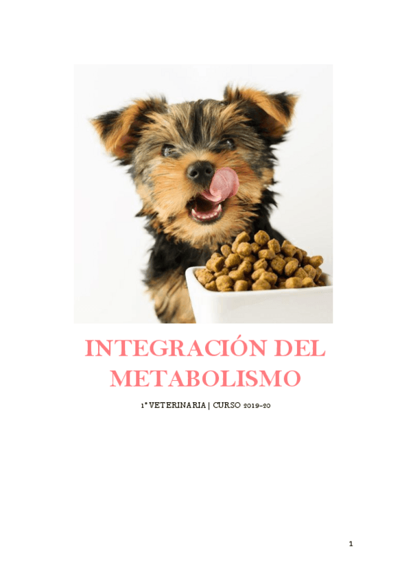 Miniatura del documento Apuntes-integracion-completos.pdf