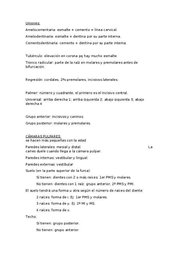 Miniatura del documento Primer-test-.docx