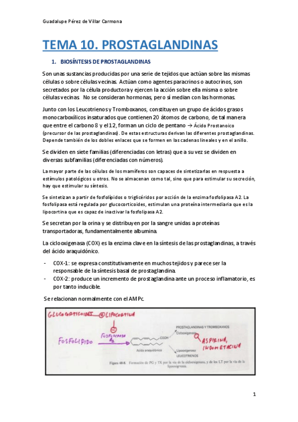 Miniatura del documento TEMA-10-AMPLIACION-FISIO.pdf