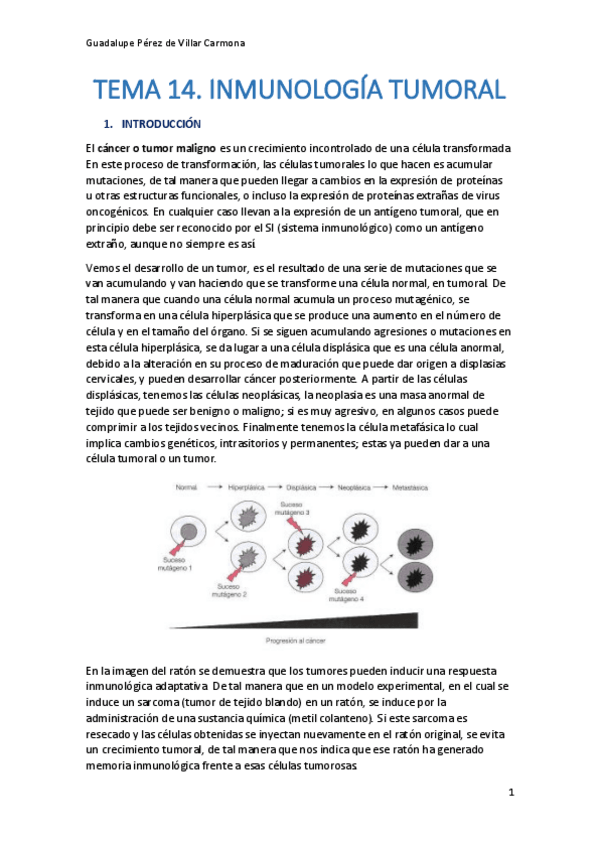 Miniatura del documento TEMA-14-AMPLIACION-FISIO.pdf