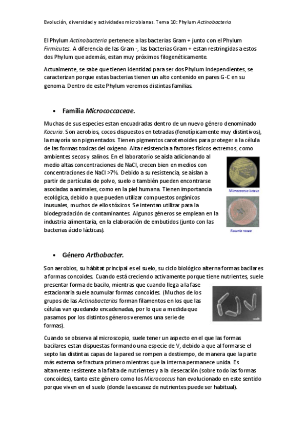 Miniatura del documento TEMA-10-MICROII.pdf