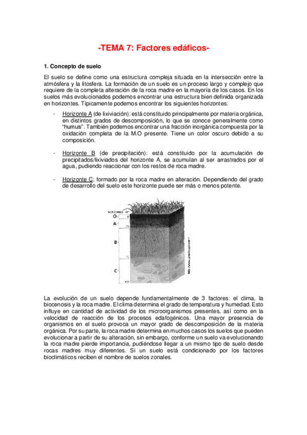 Miniatura del documento Tema-7-2020.pdf