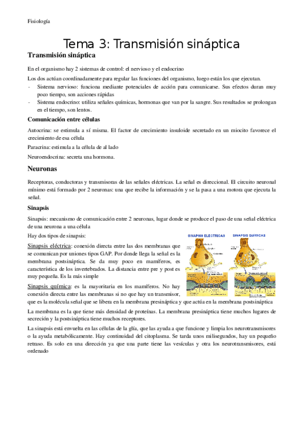 Miniatura del documento Tema-3-Transmision-sinaptica.docx