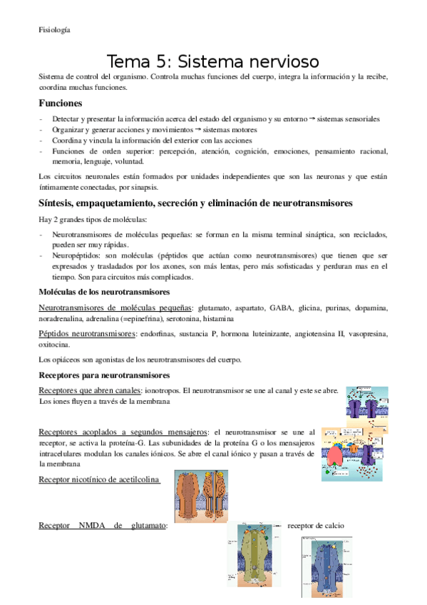Miniatura del documento Tema-5-Sistema-nervioso.docx