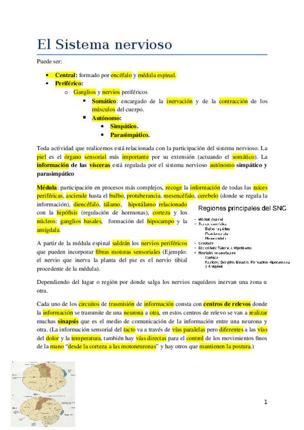 Miniatura del documento nervioso.docx