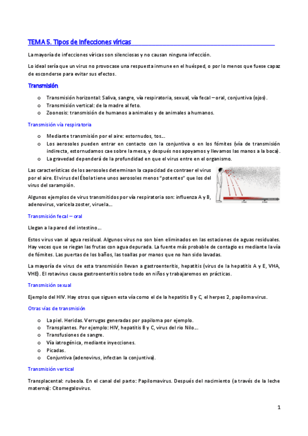 Miniatura del documento TEMA 5. VÍAS DE INFECCIÓN VÍRICA.pdf