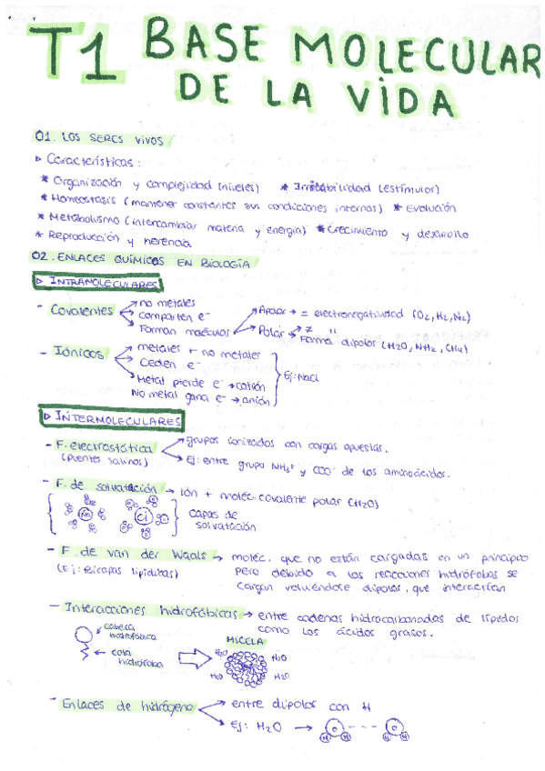 Miniatura del documento Tema-1-Base-molecular-de-la-vida.pdf