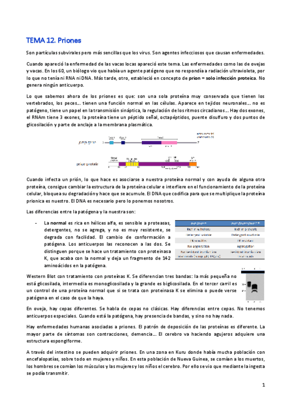 Miniatura del documento TEMA 12. PRIONES.pdf