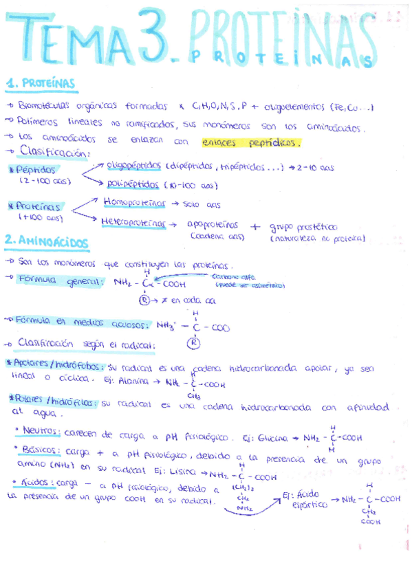 Miniatura del documento Tema-3-Proteinas.pdf
