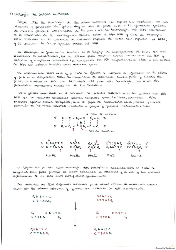 Miniatura del documento 02-05-2020-23.pdf