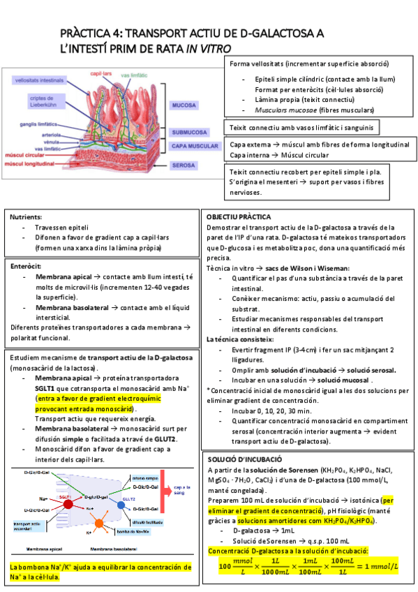 Miniatura del documento PRACTICA-4-FFII.pdf