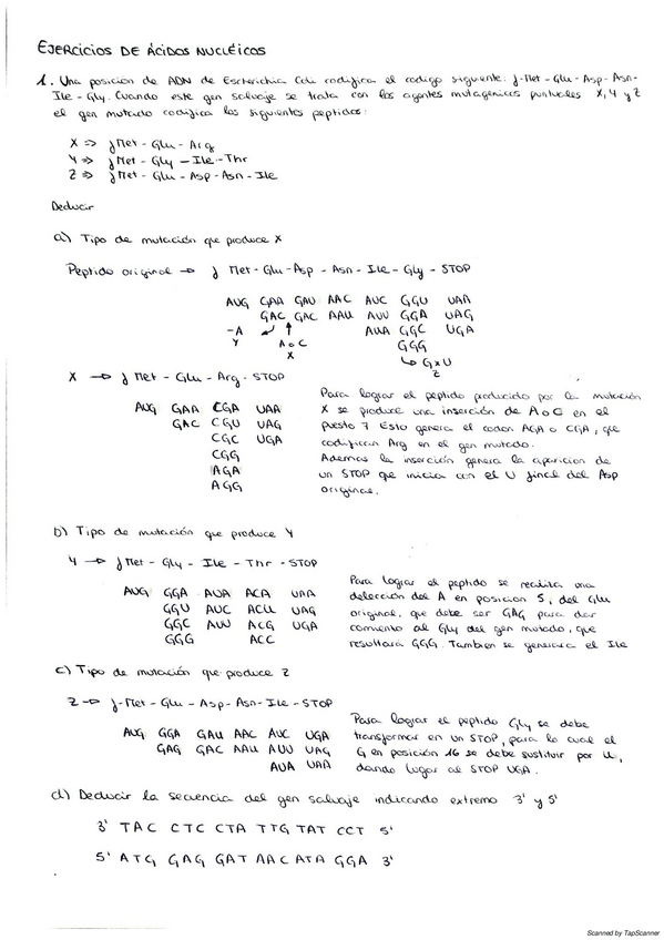 Miniatura del documento 04-05-2020-01.pdf