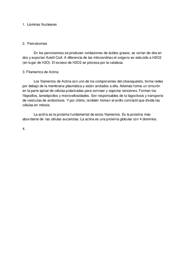 Miniatura del documento Examen-Inventado.docx
