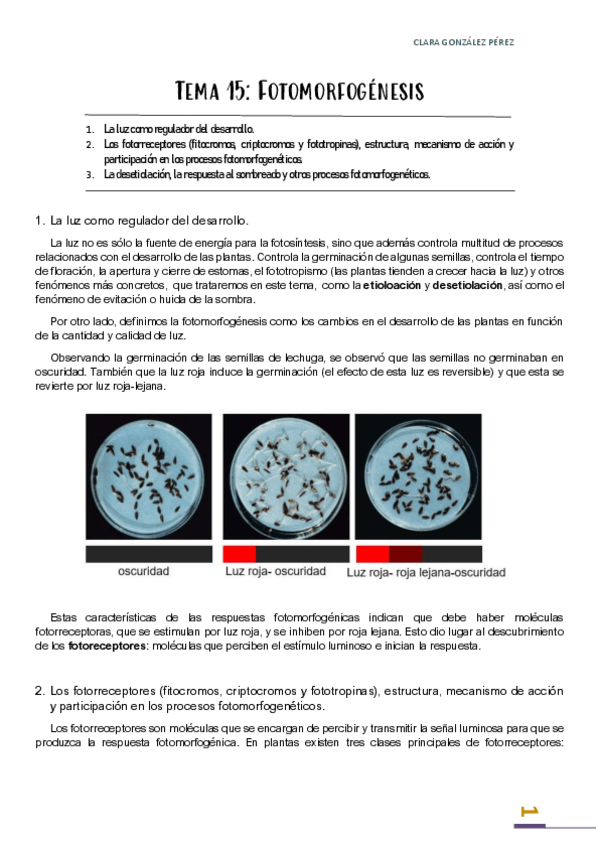 Miniatura del documento Tema-15.pdf