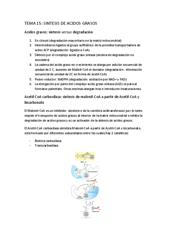 Miniatura del documento TEMA-15.pdf