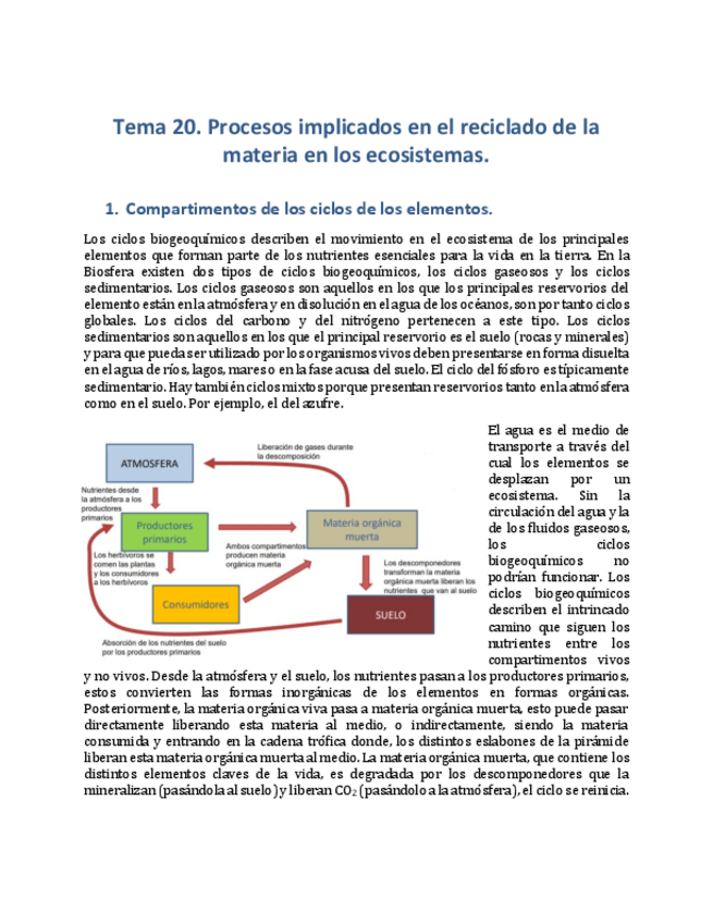 Miniatura del documento Tema-20.pdf