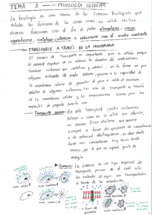 Miniatura del documento Tema-5Def.pdf