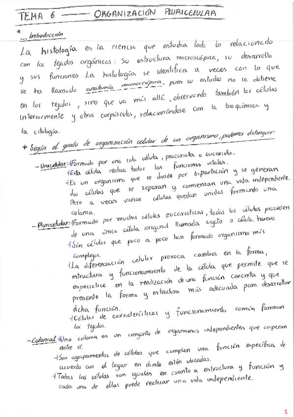Miniatura del documento Tema-6Def.pdf