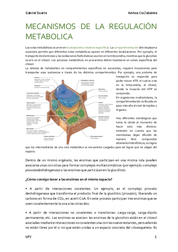 Miniatura del documento BIOQUIMICA-METABOLICA.pdf