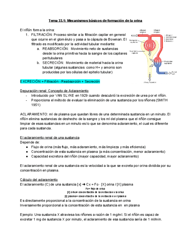 Miniatura del documento Tema-33.pdf