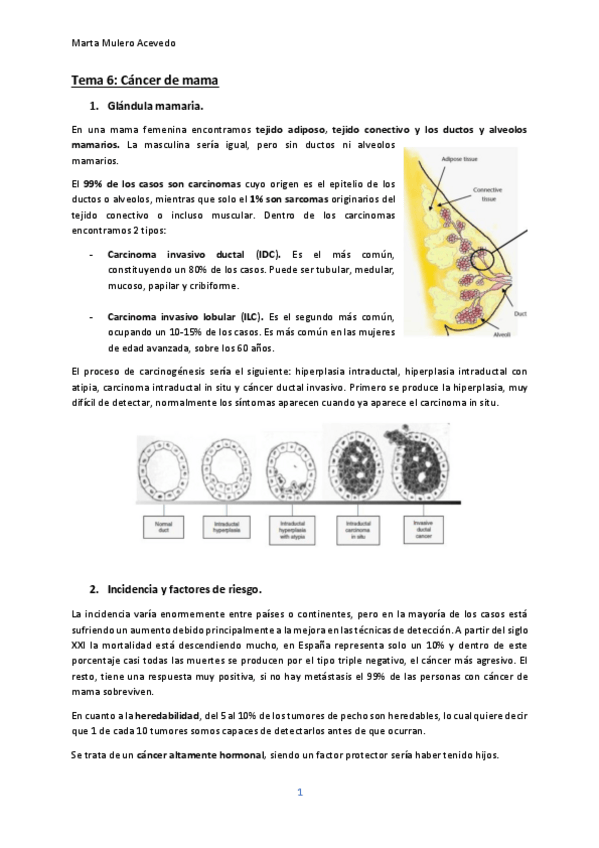 Miniatura del documento Tema-6.pdf
