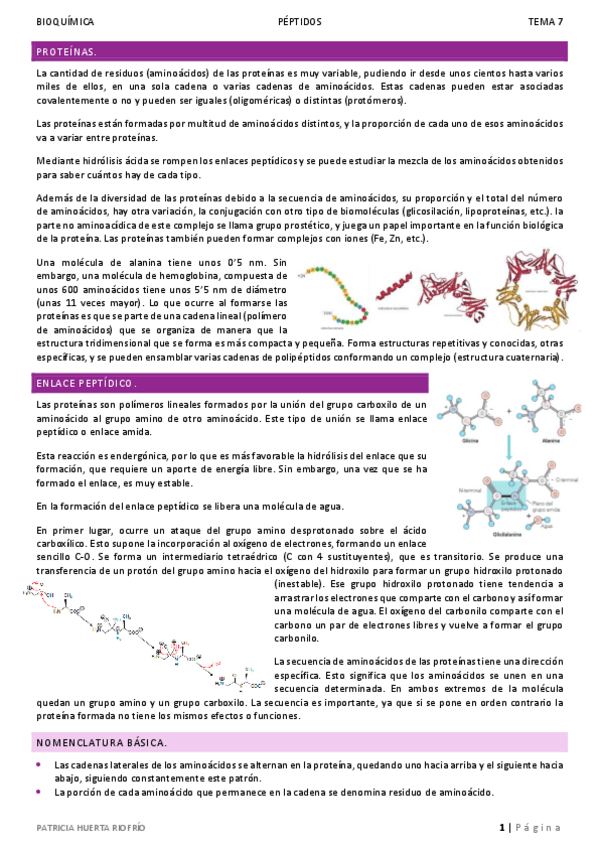 Miniatura del documento T7.pdf