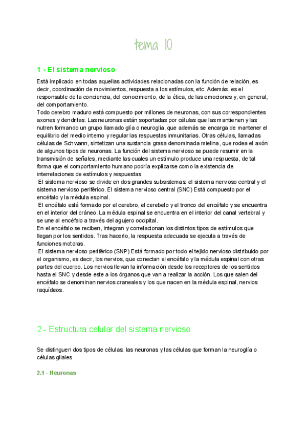 Miniatura del documento TEMA-10-ANATOMIA-RESUMEN.pdf