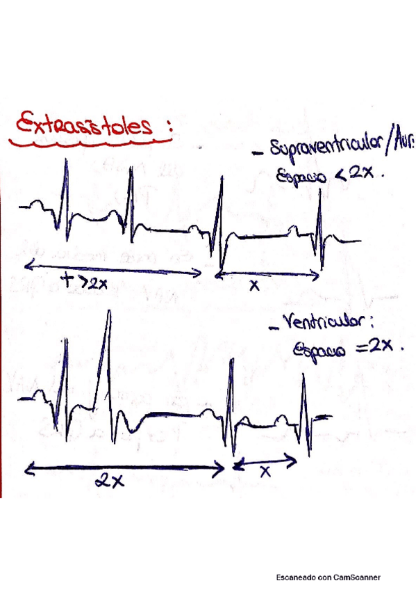 Miniatura del documento ECK-CON-DIBUJOS-Y-DATOS.pdf