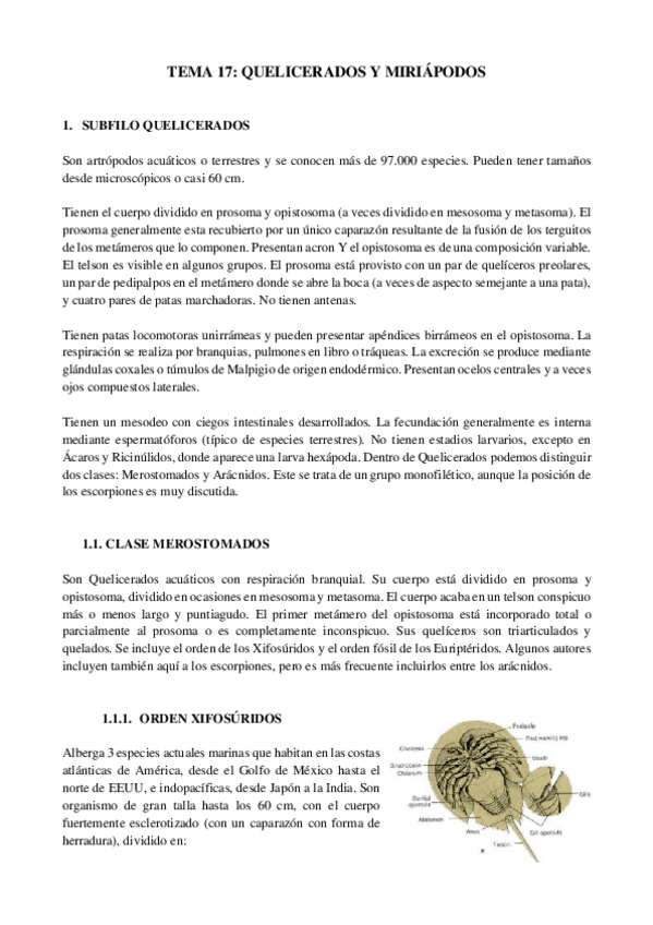 Miniatura del documento Resumen-tema-17-zoologia.pdf