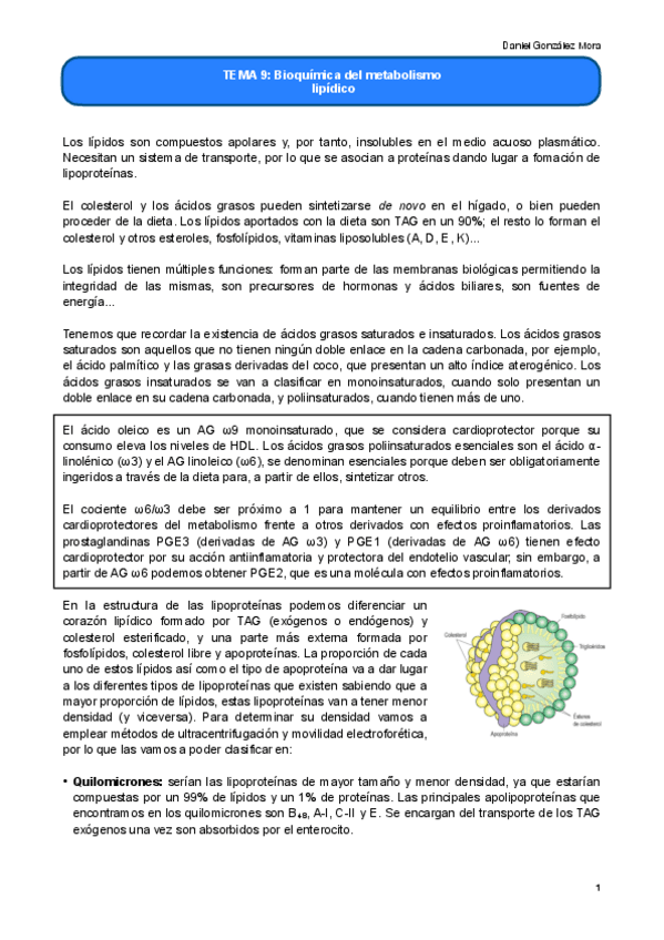 Miniatura del documento TEMA-9.pdf
