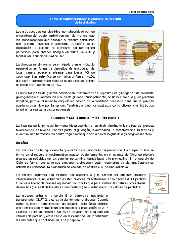 Miniatura del documento TEMA-8.pdf
