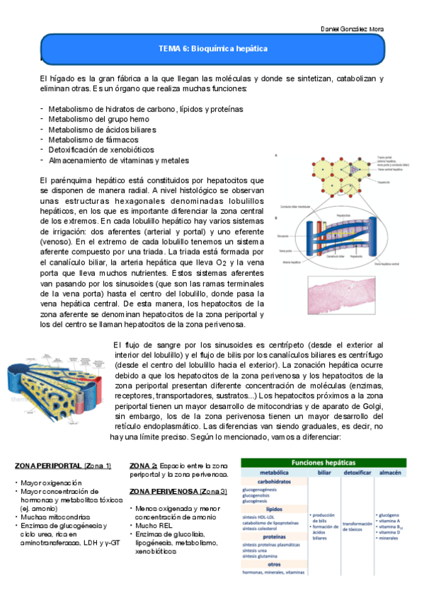 Miniatura del documento TEMA-6.pdf