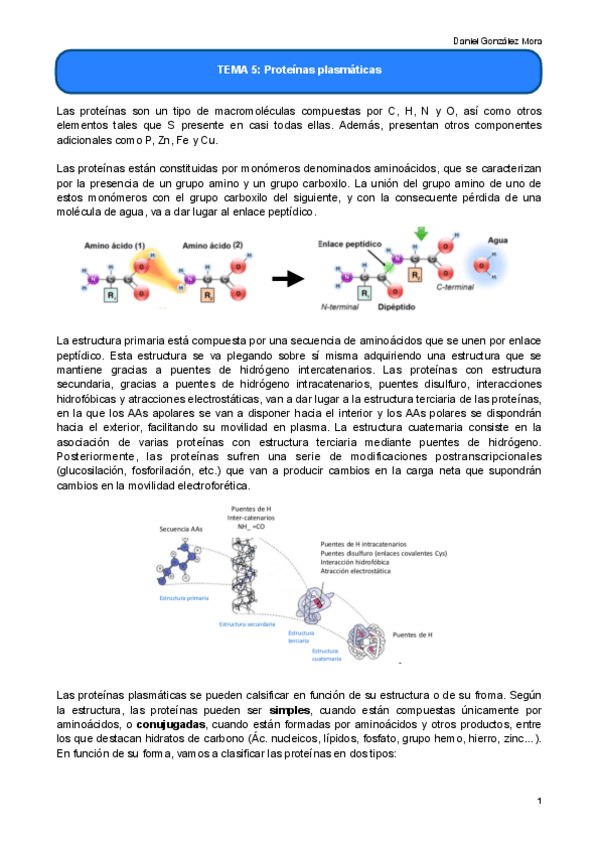 Miniatura del documento TEMA-5.pdf