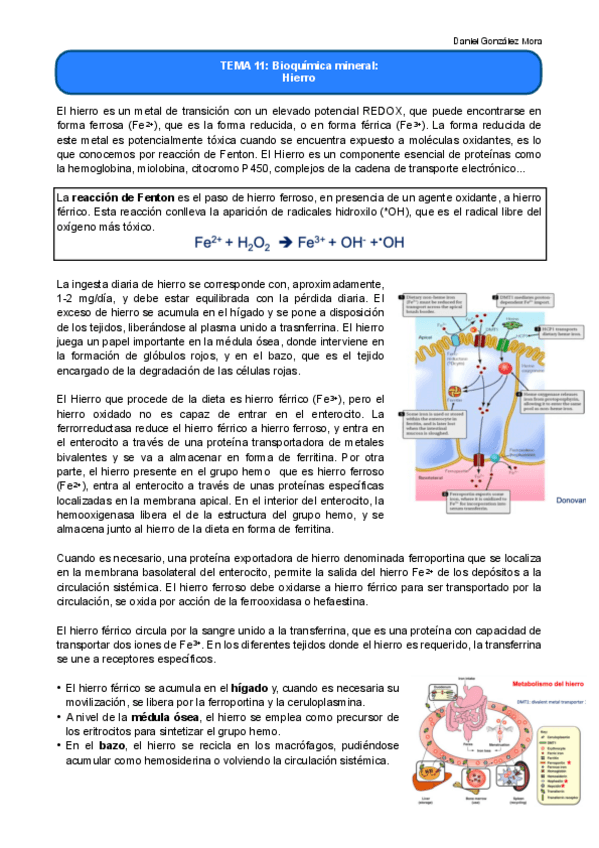 Miniatura del documento TEMA-11.pdf