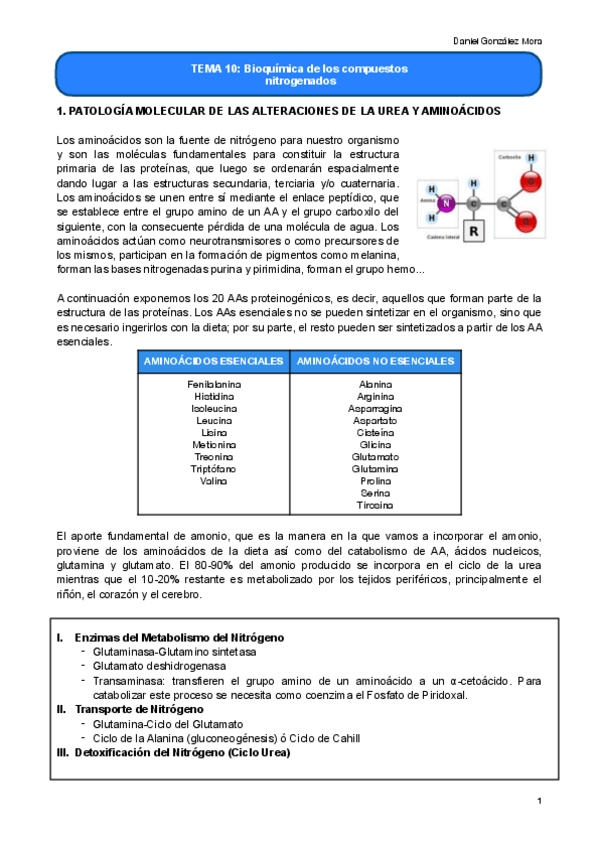 Miniatura del documento TEMA-10.pdf