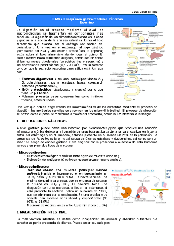 Miniatura del documento TEMA-7.pdf