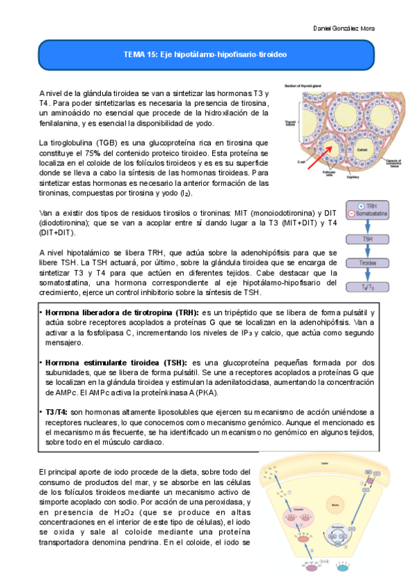 Miniatura del documento TEMA-15-.pdf