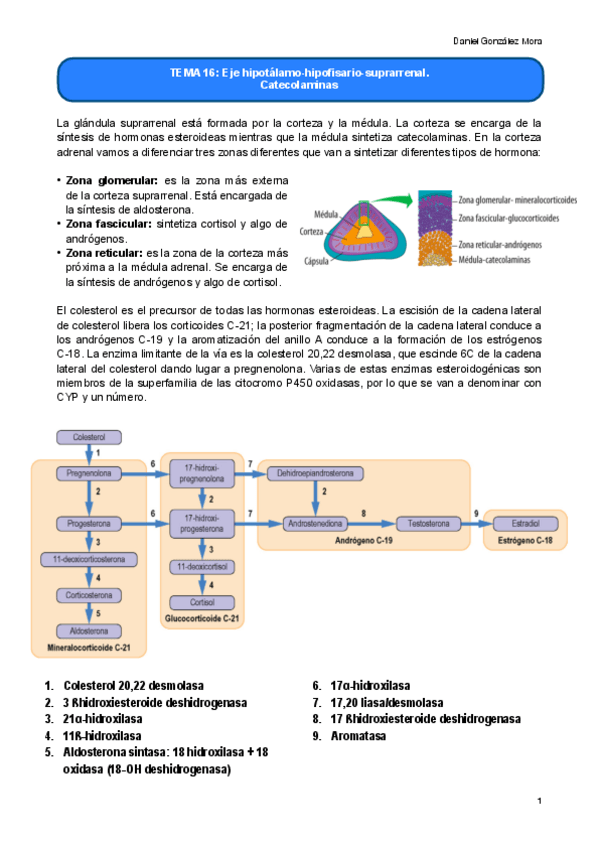 Miniatura del documento TEMA-16.pdf