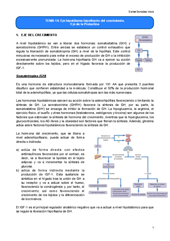 Miniatura del documento TEMA-14.pdf