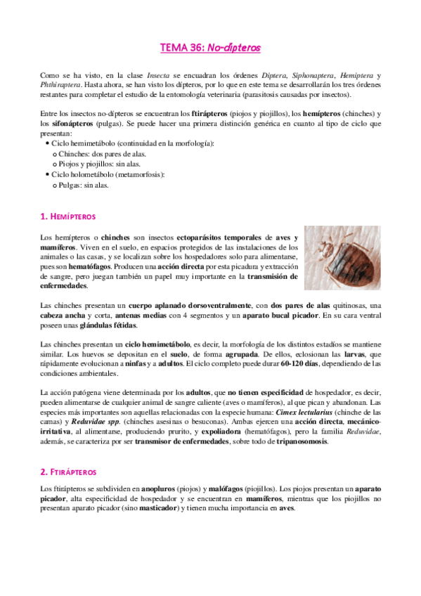 Miniatura del documento Tema-36-No-dipteros.pdf