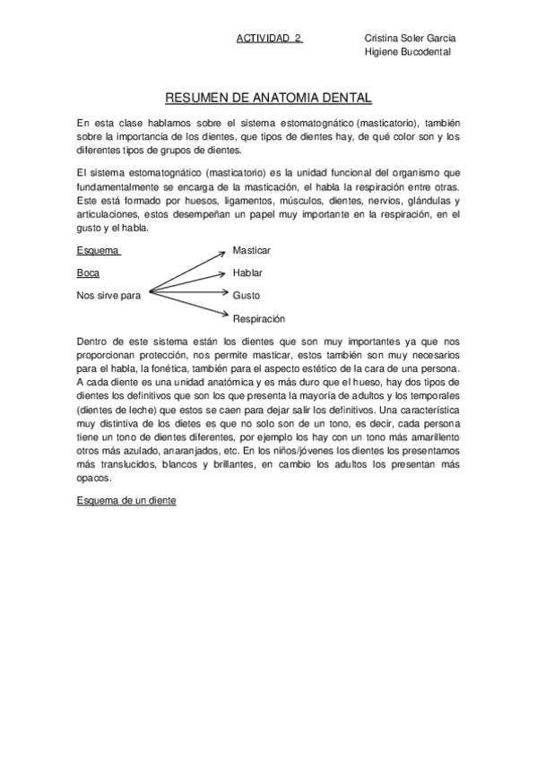 Miniatura del documento RESUMEN-DE-ANATOMIA-DENTAL.docx