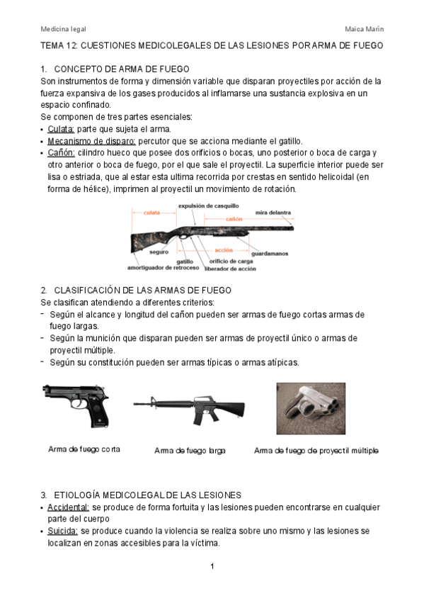 Miniatura del documento tema-12-pdf.pdf