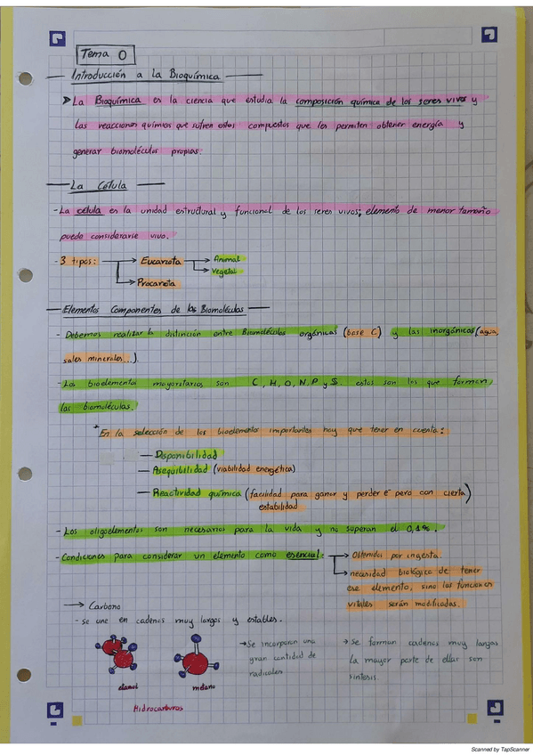 Miniatura del documento BioquimicaT1-2.pdf