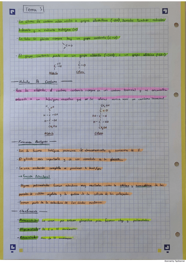 Miniatura del documento BioquimicaT3.pdf