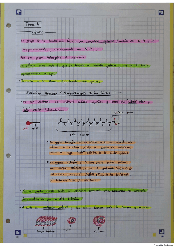 Miniatura del documento bioquimicaT4.pdf