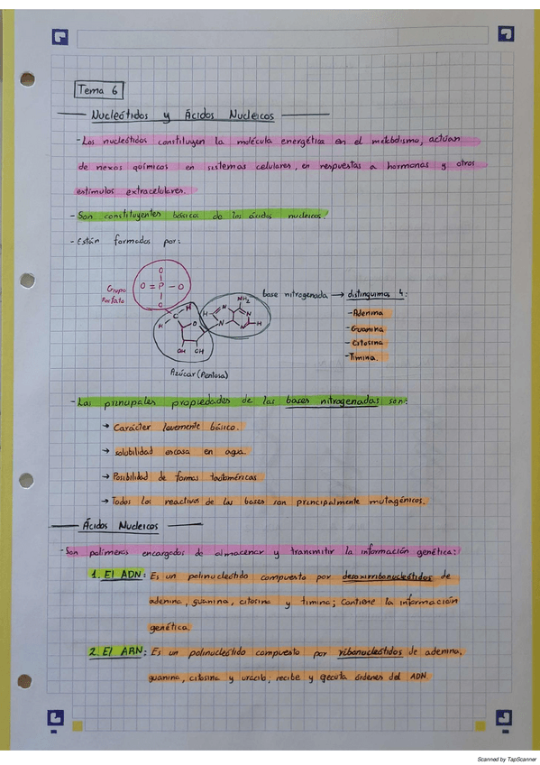 Miniatura del documento BioquimicaT6.pdf