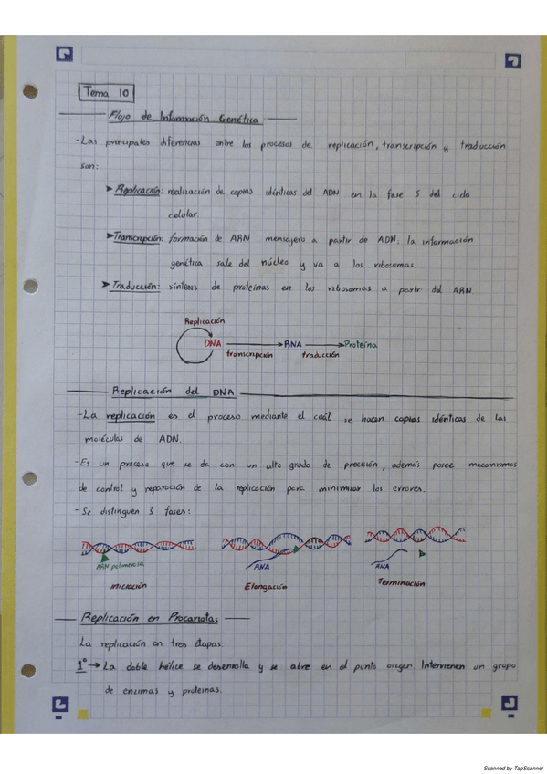 Miniatura del documento BioquimicaT10.pdf