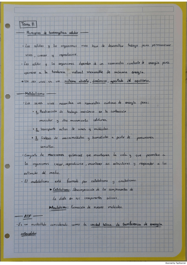 Miniatura del documento BioquimicaT11.pdf