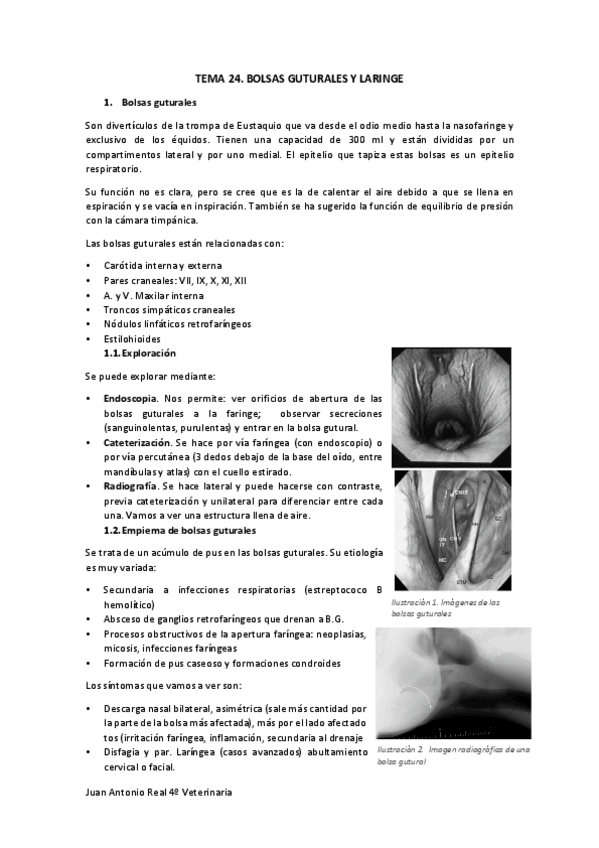Miniatura del documento Tema-24.pdf